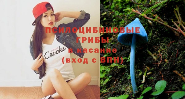 марки nbome Горнозаводск