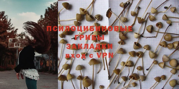 винт Гусь-Хрустальный