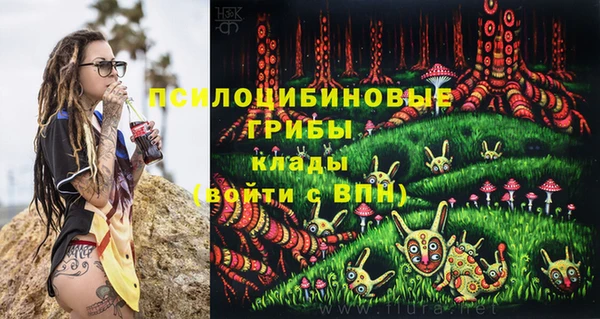 2c-b Гусев